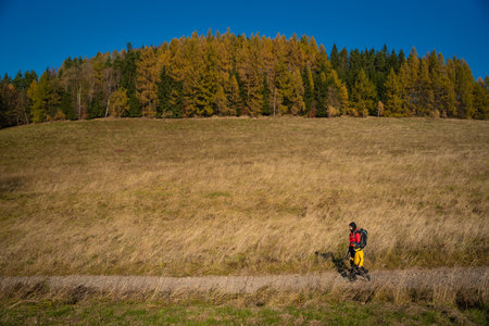 Mum and child are walking along the mountain hiking trail. Family spending time. polish mountainsの写真素材