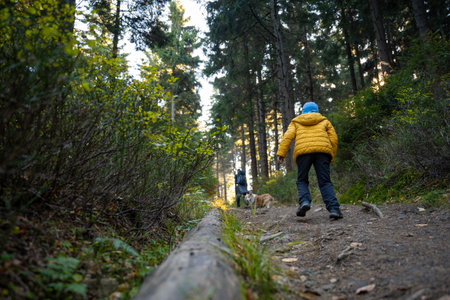 A mother with a child and a dog are walking along the mountain hiking trail. Family spending time....