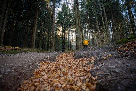 A mother with a child and a dog are walking along the mountain hiking trail. Family spending time....