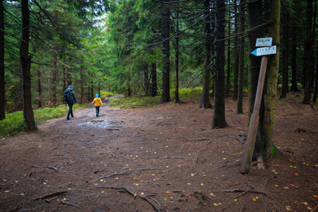 Mum and her little son go on a mountain trail in wet autumn weather. polish mountains