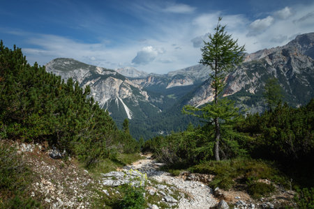 Beautiful mountain panorama in the Italian Dolomites. Dolomites, Italyの写真素材