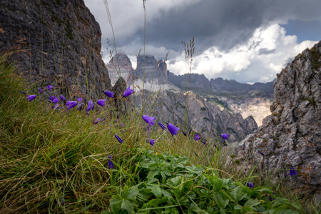 View of Tre Cime di Lavaredo from the Dolomite Trail. Dolomites, Italyの写真素材