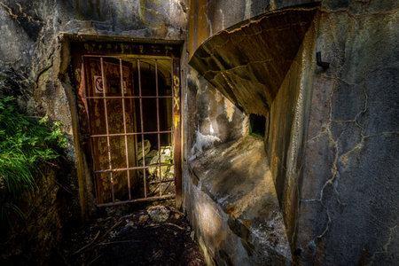 Abandoned, destoyed concrete bunker with embrasure in summer forest.Entrance to the bunker. Dolomites, Italyの写真素材