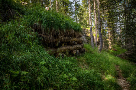 Abandoned, destoyed concrete bunker with embrasure in summer forest.Entrance to the bunker. Dolomites, Italyの写真素材
