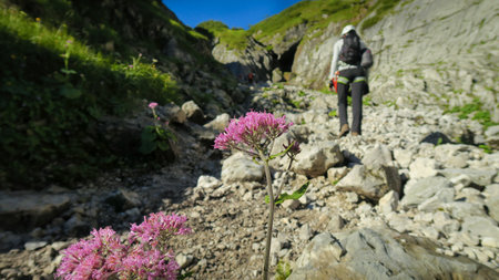 Tourist with equipment on a mountain trail in the Alps. Zugspitze massif, Bavarian Alpsの写真素材