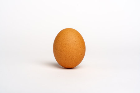 Egg brown, isolated on white background. Studioの写真素材