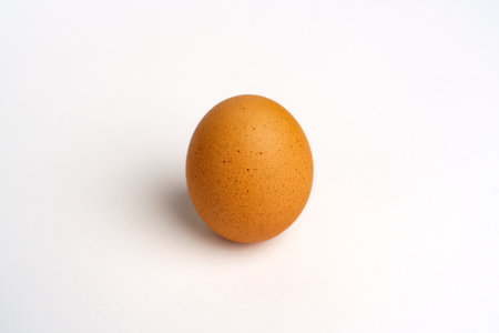 Egg brown, isolated on white background. Studioの写真素材