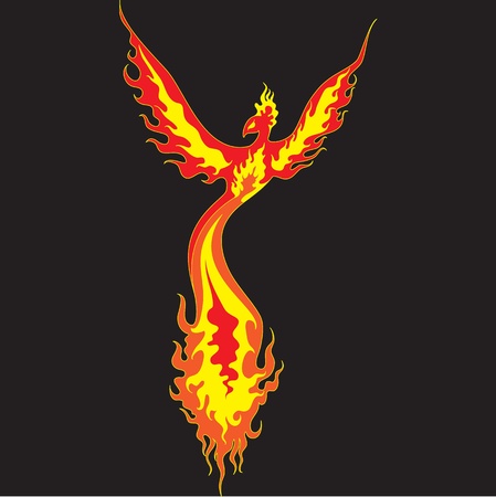 Fiery Phoenix with widely spread wings  The image can be used for tattoo のイラスト素材