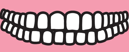Illustration of the thirty-two permanent teethのイラスト素材
