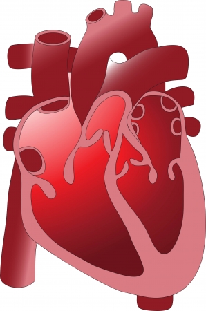 heart 12のイラスト素材