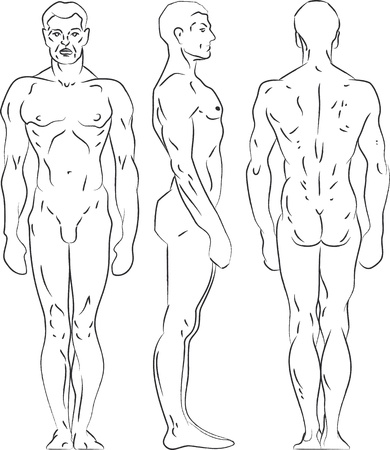 Contour illustration male figure. Profile, frontal, rear view.のイラスト素材