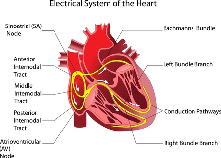 The device is the human heart  Posterのイラスト素材