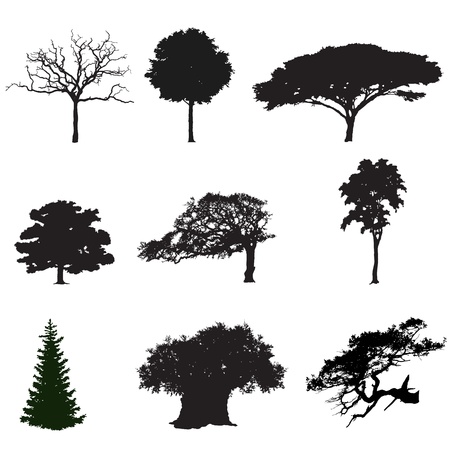 set of black silhouettes of treesのイラスト素材