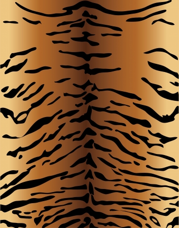 tiger skin backgroundのイラスト素材