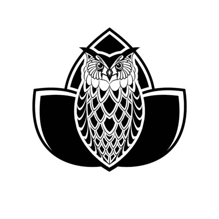 Owl vector illustration design on a white backgroundのイラスト素材
