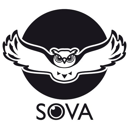 Conceptual owl. Concept for CCTV, security, detective agencies, military unitsのイラスト素材