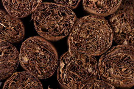 close up of hand rolled cuban cigarsの写真素材