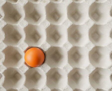 Concept outstanding image, Notable one alone fresh brown chicken egg left in paper tray pit pattern background-flat layの写真素材