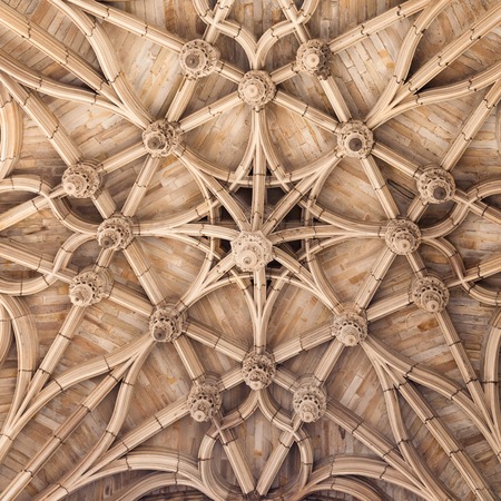 Gothic ceiling of cathedral in Albi, backgroundのeditorial素材