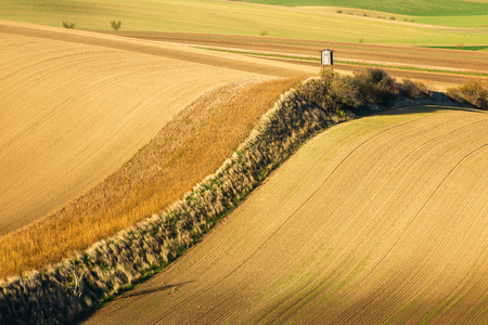 Minimalistic landscape with waves hills, yellow fields. Abstract nature background. South Moravia, Czech Republicの写真素材