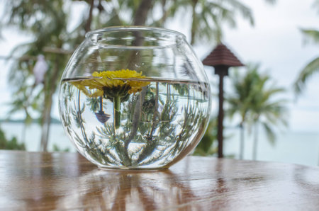 yellow flower in glass bowl with reverse reflection of coconut tree near beach,