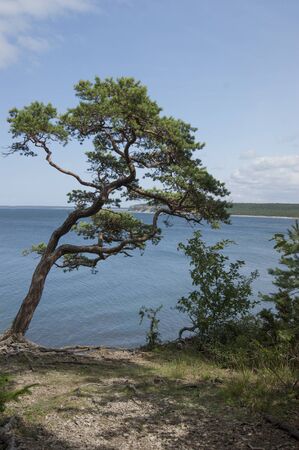 View from a cliff edgeの写真素材