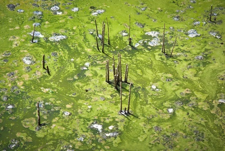 stagnant waterの写真素材