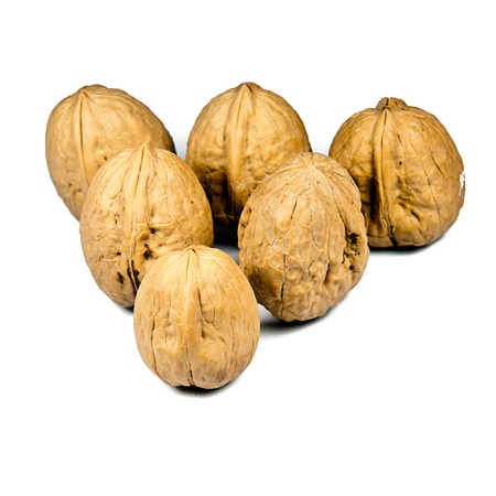 fresh walnuts on white backgroundの写真素材
