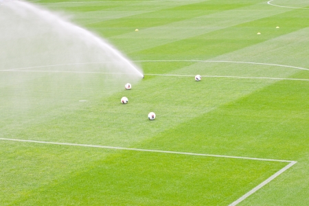 irrigation turf in a stadiumの写真素材