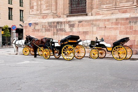 horse carriage in Malaga, Spainの写真素材