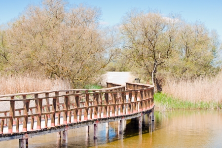 wooden bridge in Tablas de Daimiel in Spain, natural parkの写真素材