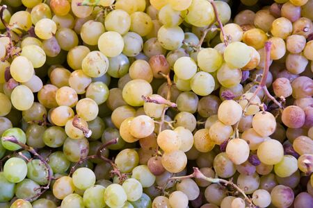 grapes in a marketの写真素材
