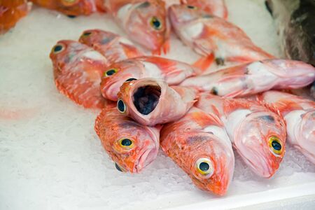 fish in a marketの写真素材