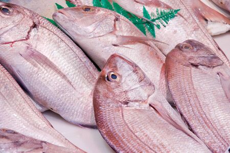 fish in a marketの写真素材