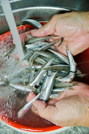 fish vendor cleaning fish の写真素材