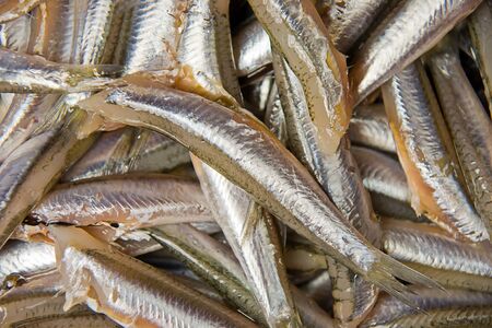 fish in a marketの写真素材
