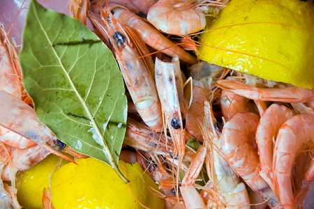 shellfish in a marketの写真素材