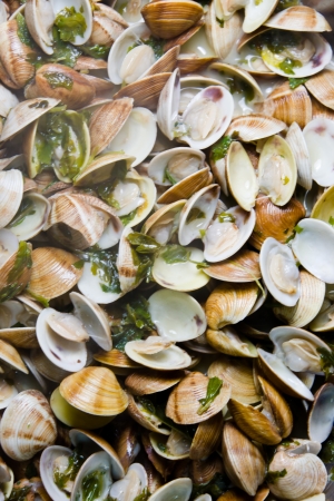 Spanish cuisine. Clams fisherman's style. Almejas a la marinera. の写真素材
