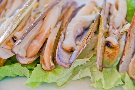 grilled razor clamsの写真素材