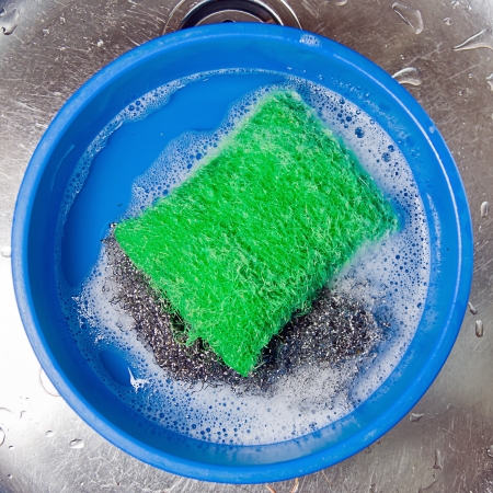 green scourerの写真素材