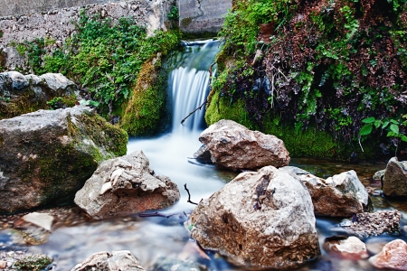 little creekの写真素材