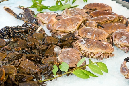 shellfish in a marketの写真素材