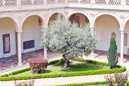 olive in a street in Toledo, Spainのeditorial素材