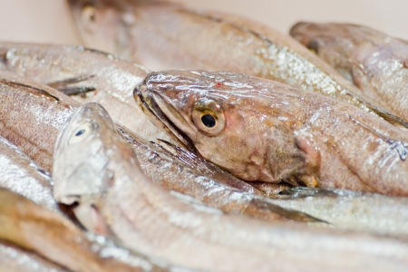 fish in a marketの写真素材