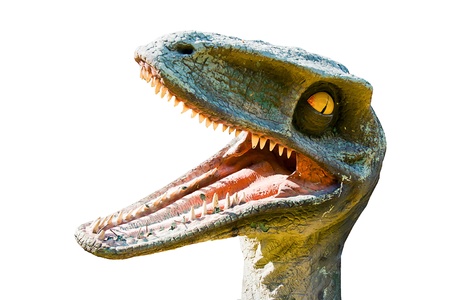 dinosaur on white backgroundの写真素材