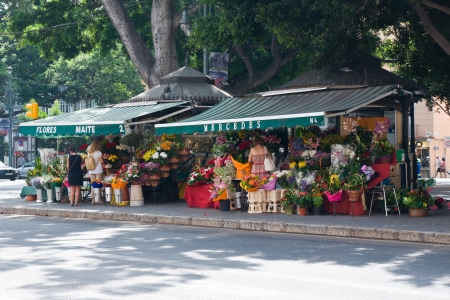 MALAGA, SPAIN - JULY 07: Florist in the historic center of Malaga on July 07, 2012 in Malaga, Spain. It is the second most populous city of Andalusia and the sixth largest in Spain. のeditorial素材