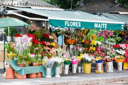 MALAGA, SPAIN - JULY 07: Florist in the historic center of Malaga on July 07, 2012 in Malaga, Spain. It is the second most populous city of Andalusia and the sixth largest in Spain. のeditorial素材