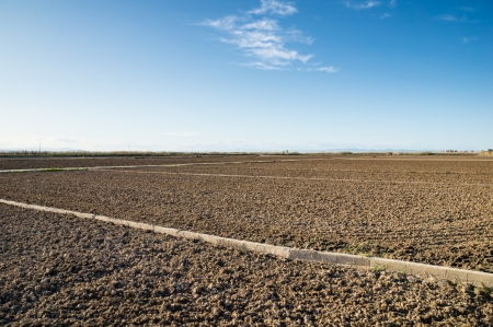 Albufera in Valencia, Spainの写真素材