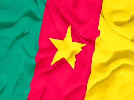Cameroon flag towelの写真素材