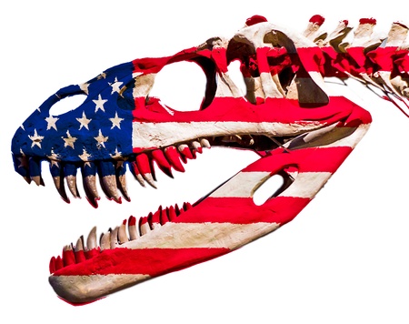 dinosaur skeleton, USA flagの写真素材
